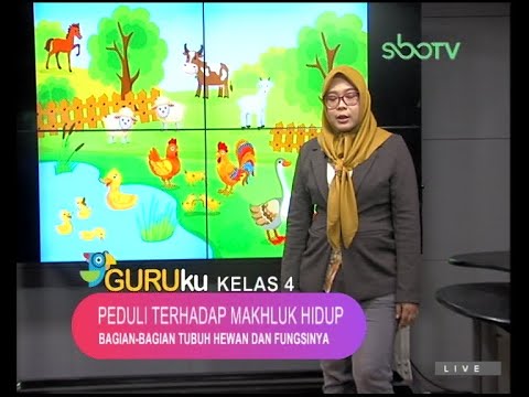 SBOTV GURUku Kelas 4 SD - 7 September 2020